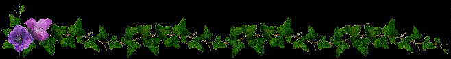 prplivy.jpg (11120 bytes)